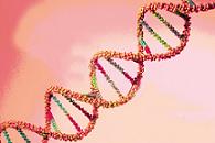 deficienta,genetica,schizofrnie